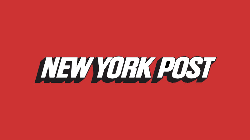New York Post: ‘Robocats’ are helping the elderly combat loneliness