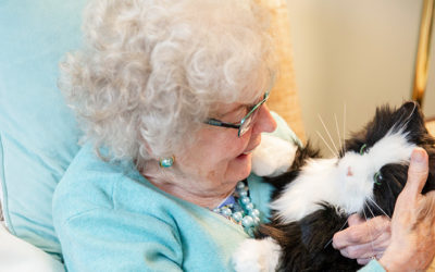 HomeCare Magazine: Robotic Pets’ Potential to Relieve Patient Loneliness & Caregiver Stress