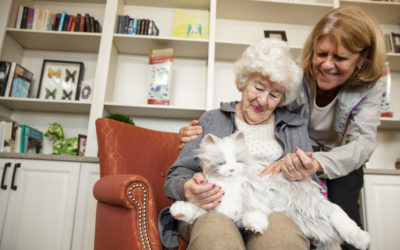 Ageless Innovation Celebrates Half Million Joy For All™ Companion Pets Adopted By Older Adults