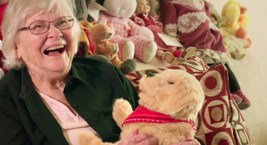 Can Social Robots Help the Elderly?