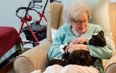 Some Florida seniors isolated with Alzheimer’s and dementia due to the pandemic are getting robotic therapy pets