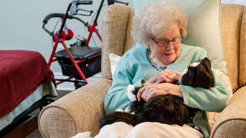 Some Florida seniors isolated with Alzheimer’s and dementia due to the pandemic are getting robotic therapy pets