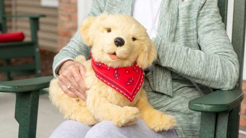 a stuffed animal sitting on a chair: These robotic therapy pets will be provided for Florida seniors and older adults with Alzheimer's and dementia.