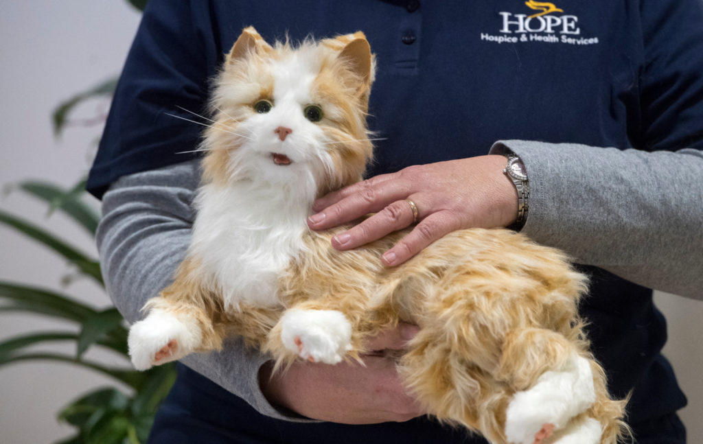 A Hope Hospice employee is holding an "Orange Tabby" Joy For All companion pet