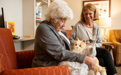 Robotic pets bringing joy to Stirling care home residents