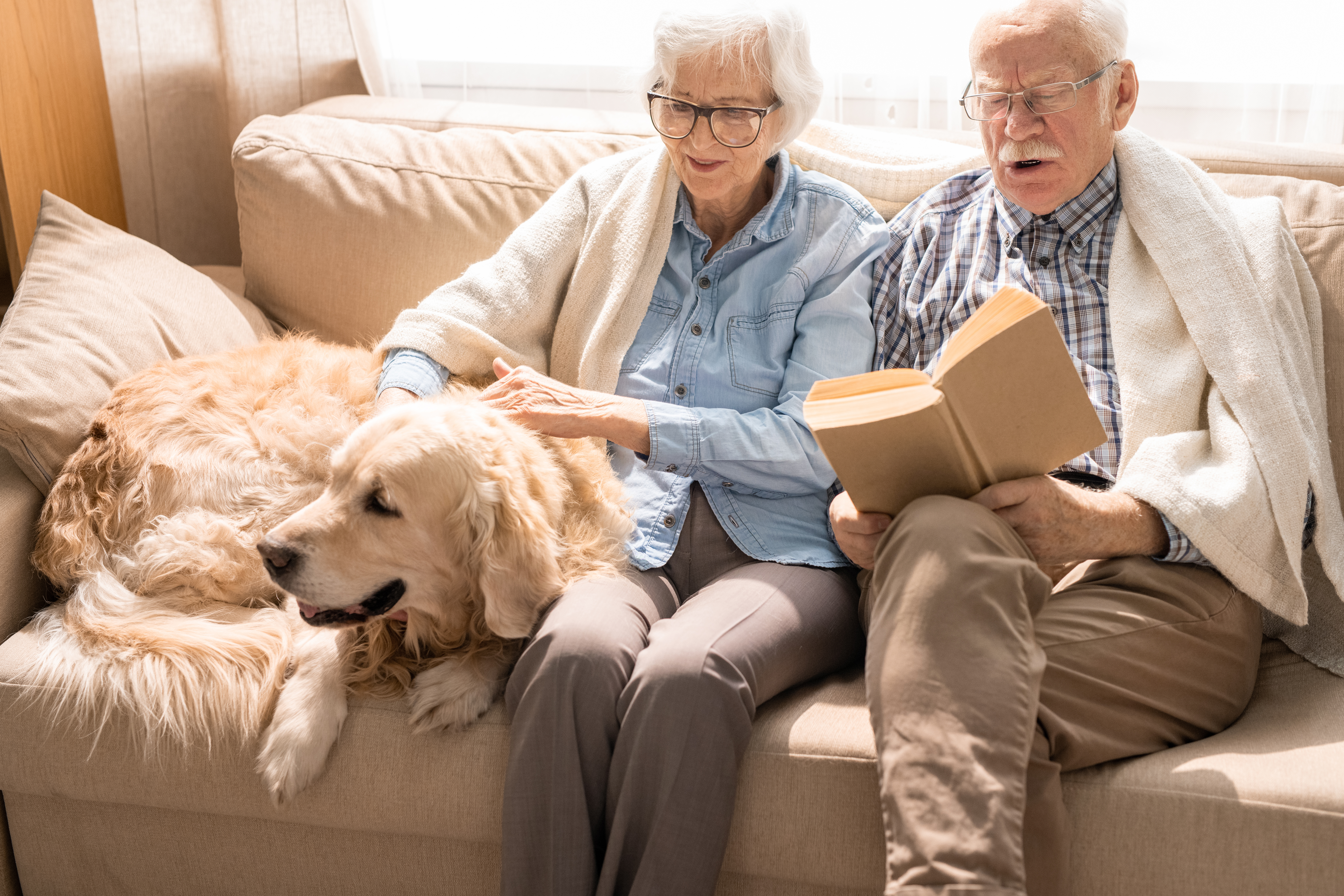 The Impact of Robotic Companion Pets on Depression and Loneliness for Older Adults with Dementia During the COVID-19 Pandemic