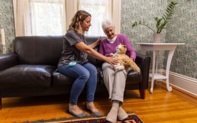 Robotic Pet Therapy Improves Outcomes for Hospitalized Older Adults