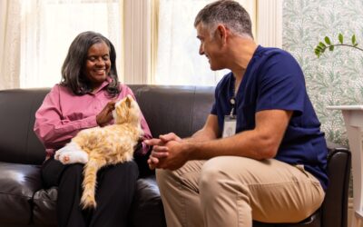 Exploring the Effects of Interaction with a Robot Cat for Dementia Sufferers and their Carers