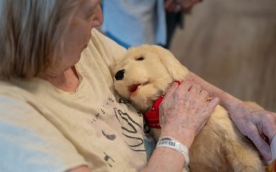 Effects of Robotic Therapy Dog Interaction on Mood Among Nursing Home Residents with Dementia